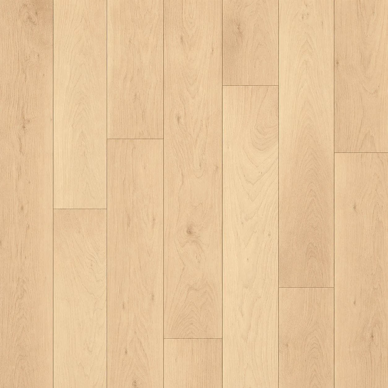 Muestra de duela de madera sólida Maple: crema · veta sutil