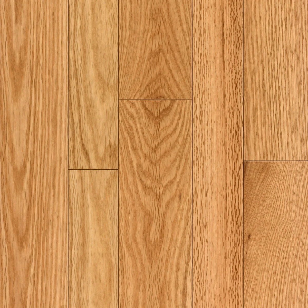 Detalle completo de la muestra de madera sólida Encino Americano