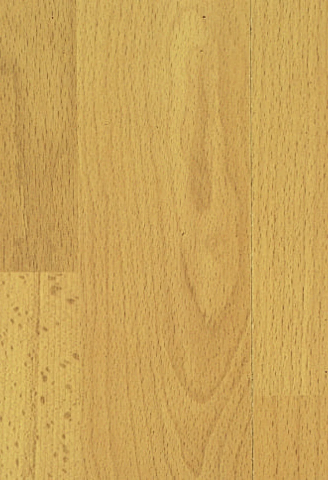 Muestra completa del laminado Haya Tabla de Serie Profesional de 7 mm